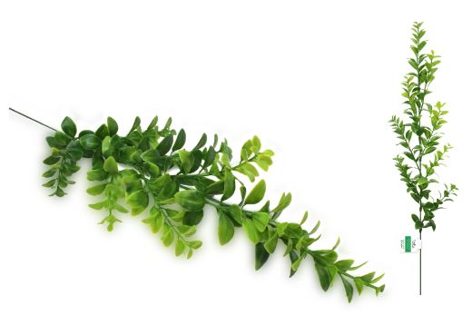 Garden Filler Boxwood Spray