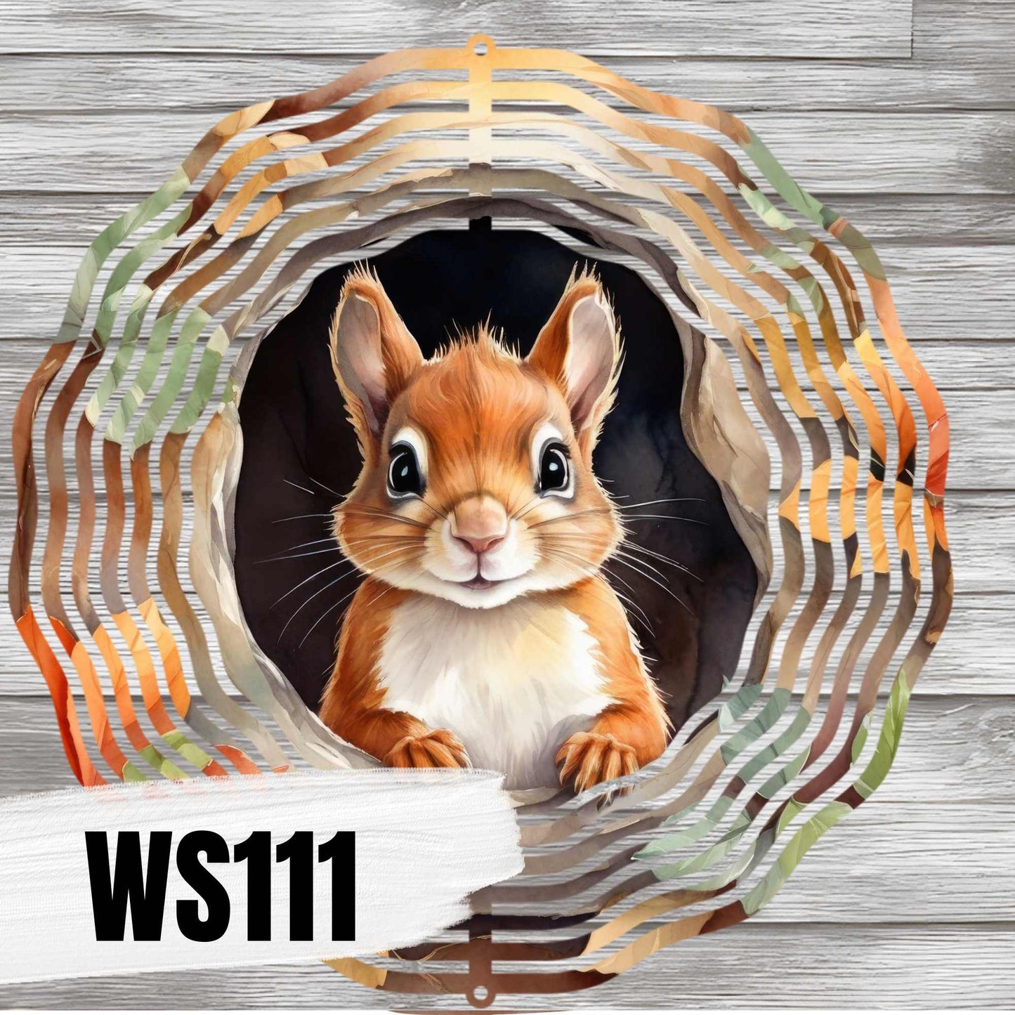 WS111