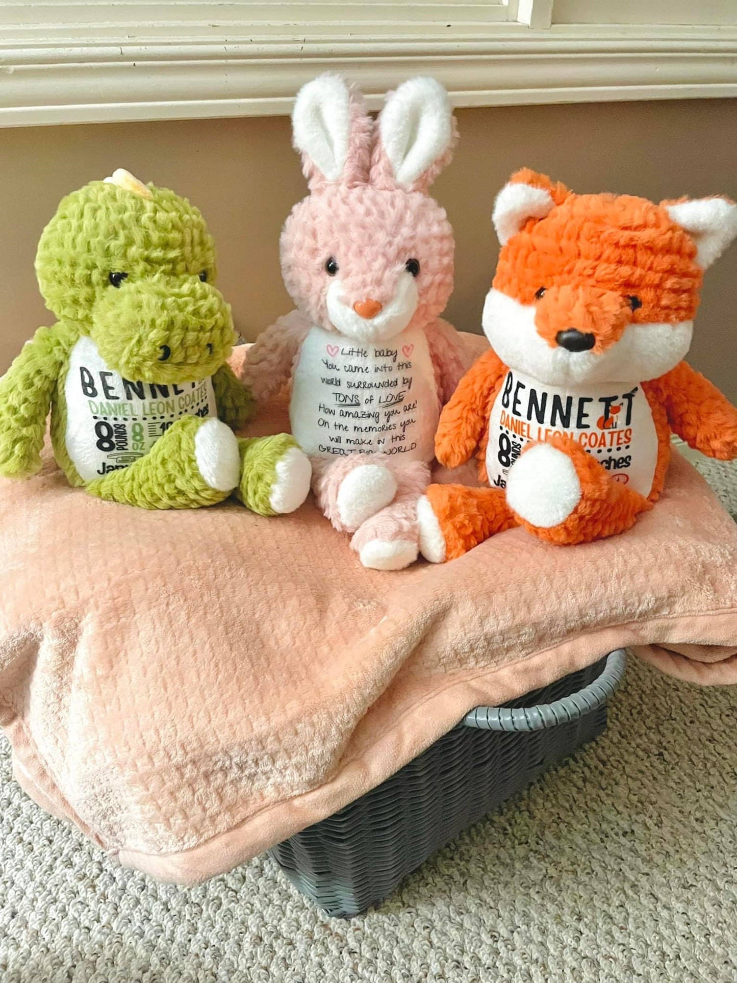 Sublimation Plushies