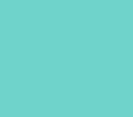 Siser® EasyWeed Stretch® 12"