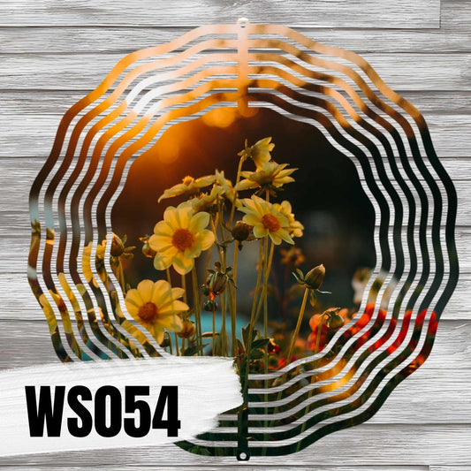 WS054