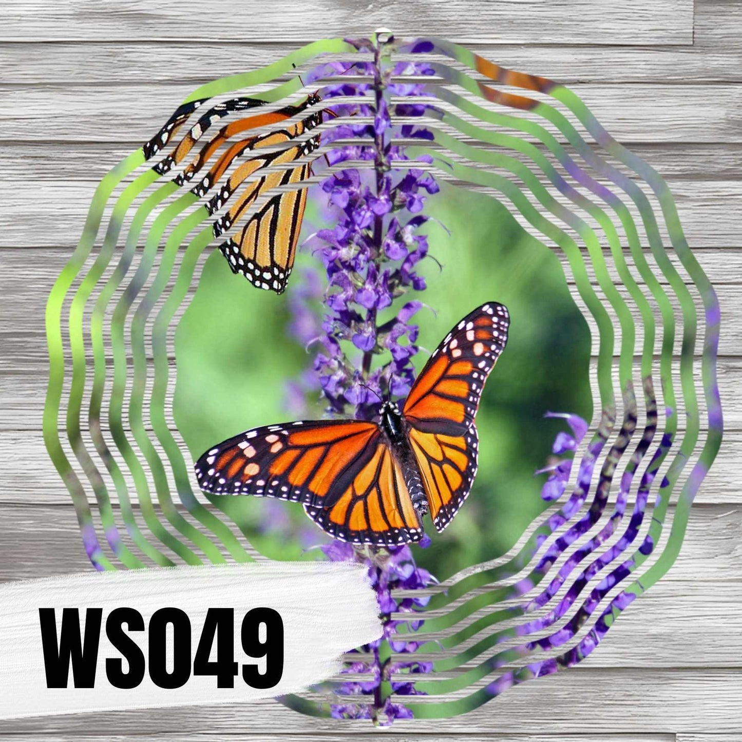 WS049