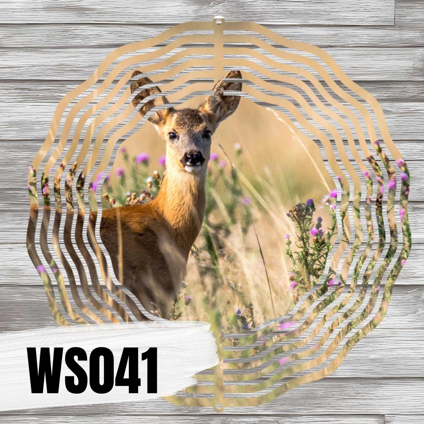 WS041