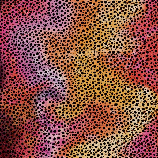 Cricut® Infusible Ink™ Transfer Sheet Patterns, Rainbow Cheetah